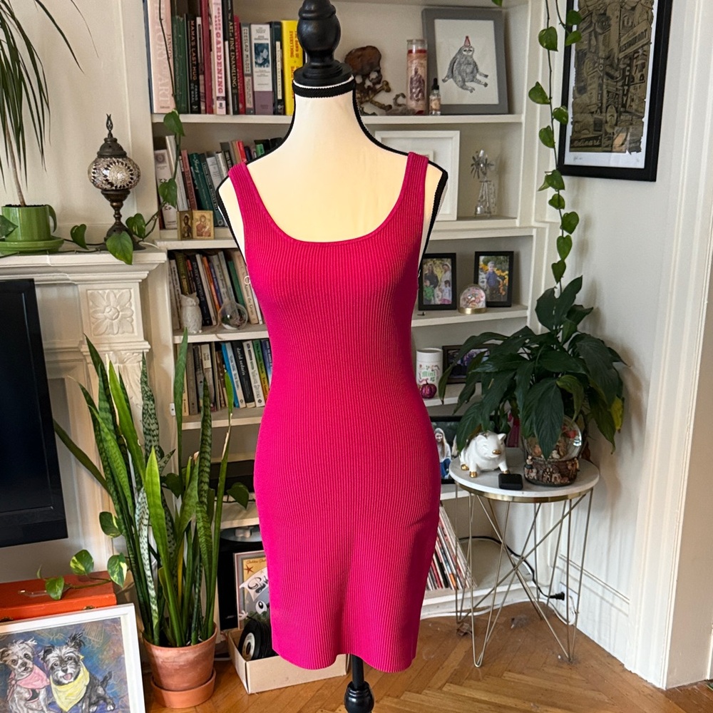 Aritzia Babaton Sculpt Knit Mini